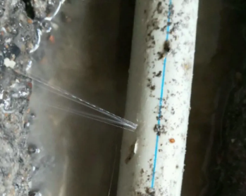 定兴卫生间测漏水多少钱
