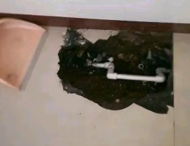 定兴卫生间测漏水多少钱